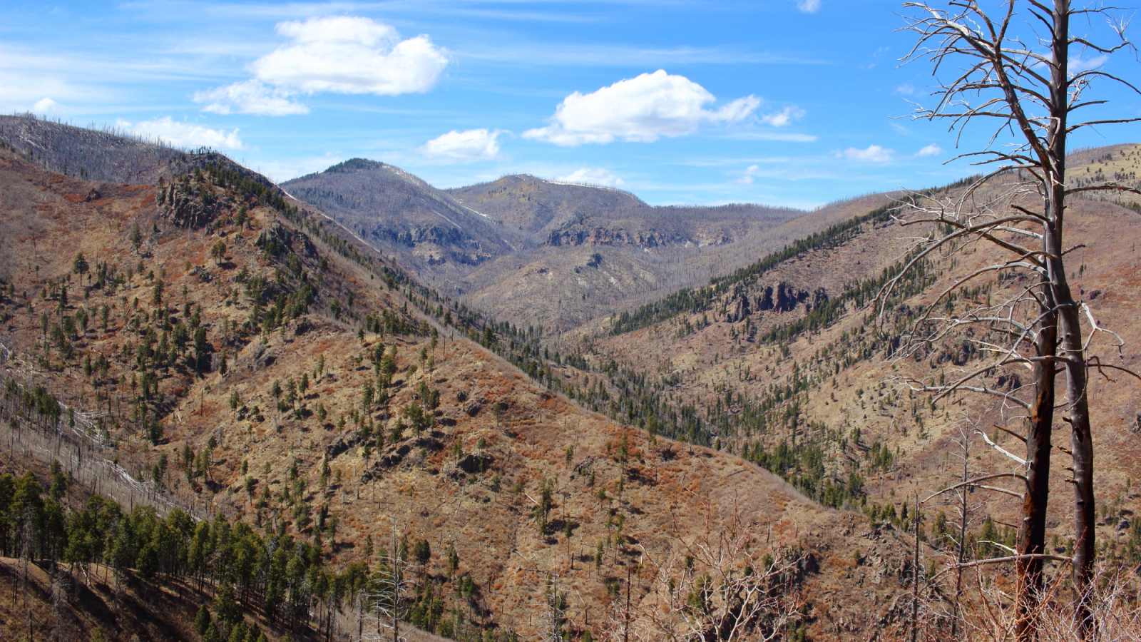 Jemez Mountains