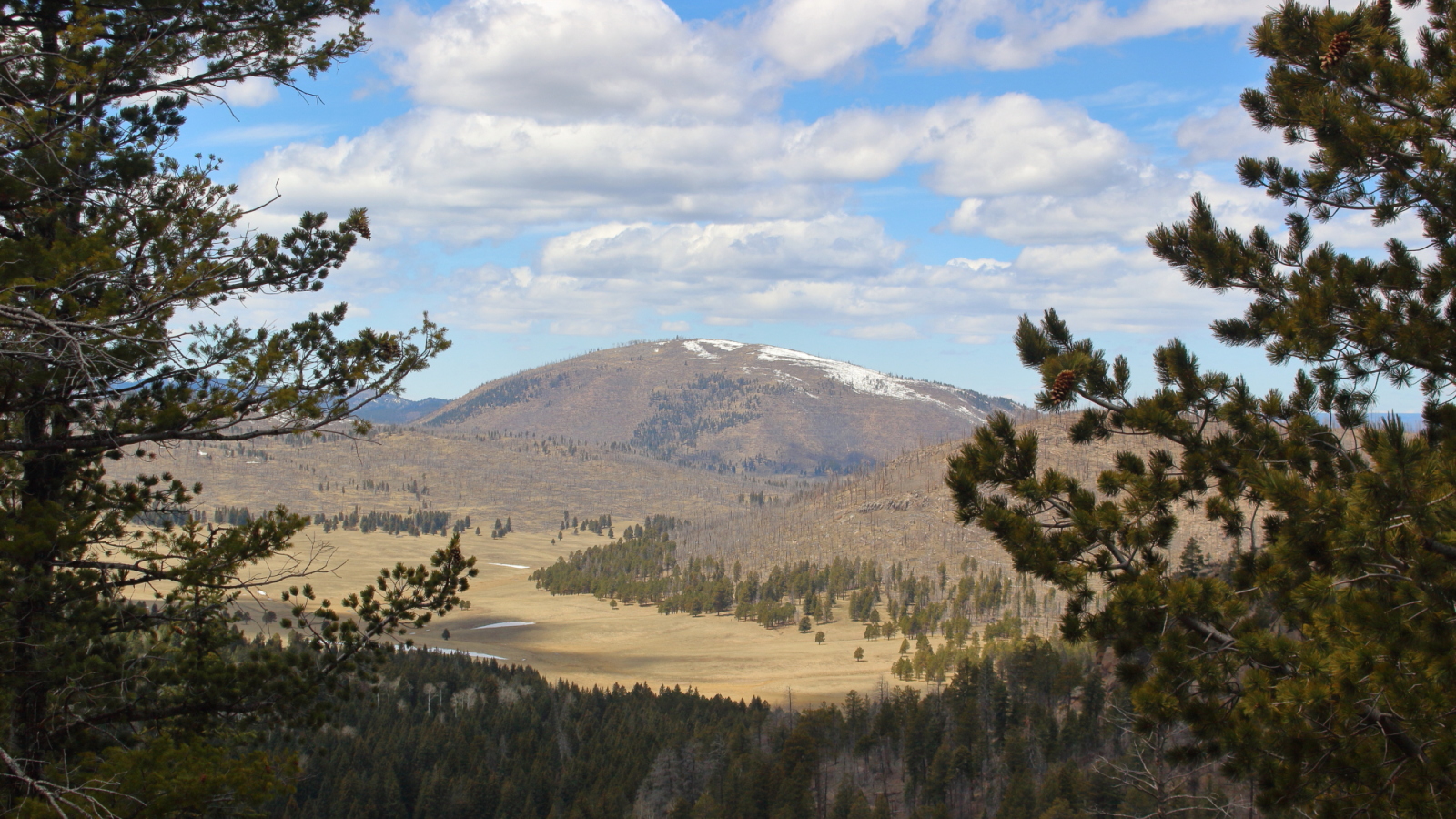 Valle Caldera